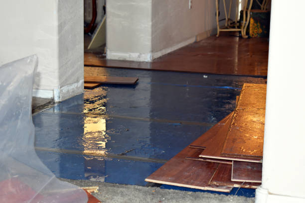Professional Burst Pipe Cleanup technician working in Lewiston, UT